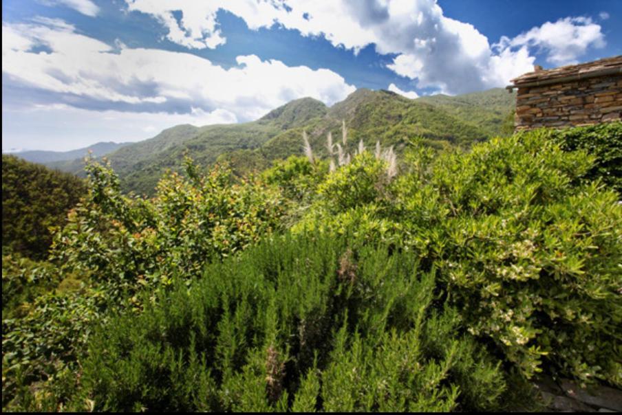 Casa Costa - Ruhe und Natur pur Carpasio Bagian luar foto